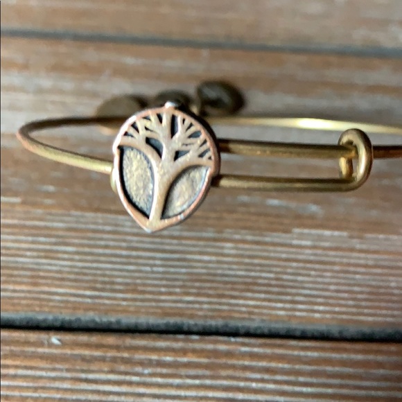Alex and Ani Unexpected Miracles Bracelet. - Picture 4 of 5